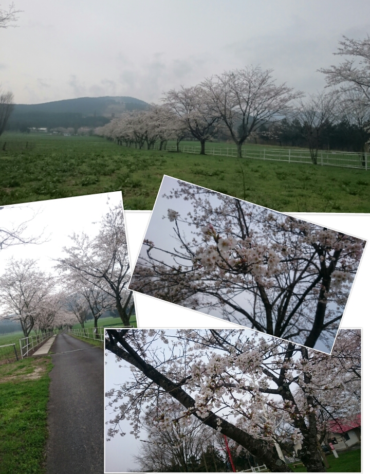 2015.4.10.jpg