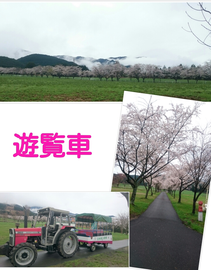 2015.4.11