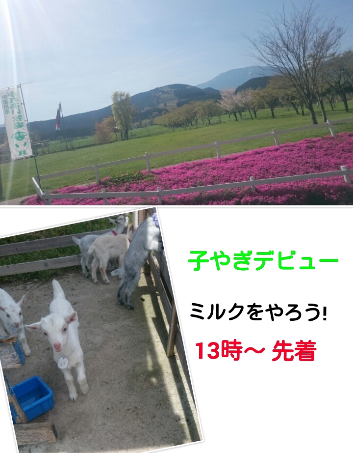 2015.4.26